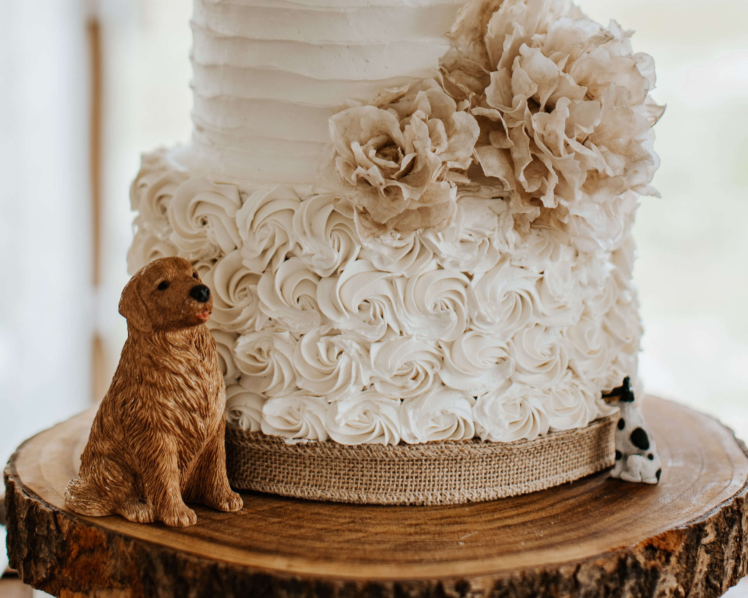 A beautiful 2-tier custom wedding cake with buttercream rosettes and wafer paper flowers for a destination wedding, from Village Patisserie in Toledo, Ohio